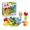 cumpără Set de construcție Lego 10479 Duplo. Cutie creativă colorată în Chișinău 