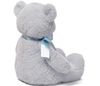 cumpără Jucărie de pluș Baby Gund 6048628 My 1st Teddy Blue 45cm în Chișinău 