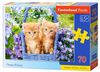 cumpără Puzzle Castorland Puzzle B-070169 Puzzle Midi 70 în Chișinău 