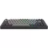 купить Клавиатура Dark Project KD83A Black/Dark Grey / PBT Top Print / Gateron Mechanical Tea в Кишинёве 