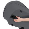 купить Детская коляска Lionelo Carucior 2in1 Carmine Grey Stone в Кишинёве 