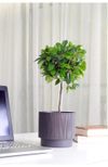 купить Цветочный горшок Aleana 128029 Oslo cu insertie d20 cm, granite в Кишинёве 
