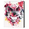 купить Картина по номерам BrushMe RBS26136FC 30x40сm (fără cutie) Bufniță în culori в Кишинёве 