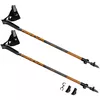 cumpără Bețe pentru trekking Spokey 926811 Carbon RIFT în Chișinău 