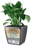 купить Цветочный горшок Lechuza Quadro Premium 35 LS, Shiny Taupe в Кишинёве 