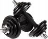 купить Гантель Zipro Iron Dumbbell Set 2x10kg в Кишинёве 