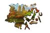 купить Пазл Trefl 20157 Wooden puzzle 500+1. Manhattan, Parcul Central в Кишинёве 