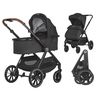 купить Детская коляска Coccolle 2in1 Aspen Jet black в Кишинёве 