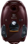 cumpără Aspirator cu sac Electrolux ESP75BD în Chișinău 