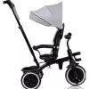 cumpără Bicicletă-cărucior Lionelo Berry Grey Stone în Chișinău 