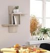 купить Полка декоративная Trendy Moara-Stejar Sonoma 64x70x15cm (GTR005355) в Кишинёве 