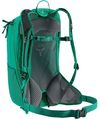 купить Рюкзак спортивный Deuter Race EXP Air fern graphite в Кишинёве 