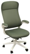 cumpără Fotoliu de birou Deco Luis Green în Chișinău 