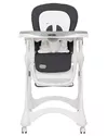 купить Стульчик для кормления Carrello Caramel Crl-9501/3 Palette Grey в Кишинёве 