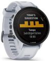 купить Смарт часы Garmin Forerunner 955 Solar Whitestone (010-02638-21) в Кишинёве 