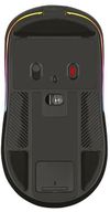 купить Игровая мышь Tracer THOR RGB (2.4Ghz+BT) RF Nano в Кишинёве 