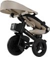 купить Велосипед-коляска KinderKraft KRAVEO02BEG0000 Aveo 2 Plus Beige в Кишинёве 