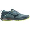 купить Кроссовки для бега Mizuno Wave Rider GTX J1GC2179 24 в Кишинёве 