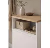 cumpără Raft pentru încălțăminte Bofigo 18-18-41 Sapphire Oak/White în Chișinău 