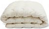cumpără Textile de casă Almir Plapumă de iarnă (Standart) 220x240cm Alb în Chișinău 
