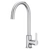 купить Смеситель кухонный Roca Mencia chiuveta plus A5A7409C00 в Кишинёве 
