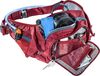купить Поясная сумка Deuter Pulse Three cranberry в Кишинёве 
