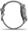 купить Фитнес-трекер Garmin vivoactive 4S Powder Gray/Silver, S.EU в Кишинёве 