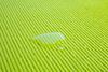 cumpără Covoraș fitness Zipro Yoga mat Lime Green 4mm în Chișinău 
