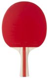 cumpără Articol de tenis Stiga 11212-8418-01 Bat React 2-Star în Chișinău 