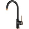 купить Смеситель кухонный Helika-AquaSanita 5023-601C VIDE Black metallic copper в Кишинёве 