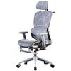 купить Офисное кресло Nex Home Extra Gray (ergonomic) в Кишинёве 