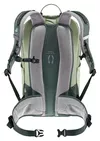 cumpără Rucsac turistic Deuter Trail 25 grove-ivy (3440524 1214 0) în Chișinău 