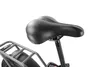 cumpără Bicicletă Sharp BK-FD06E-N în Chișinău 