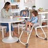 cumpără Scaun de masă Bright Starts 12332 Scaun de masa 3 in 1 Ingenuity Nash în Chișinău 