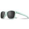 купить Защитные очки Julbo TURN 2 MINT MAT SP3 FUME в Кишинёве 