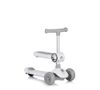 купить Самокат Chipolino DSBLO0262GY 2в1 Bloomi grey в Кишинёве 