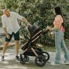 cumpără Сărucior pentru copii Coccolle Melora Moonlit Grey, 3in1 cu landou transformabil în Chișinău 