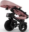 купить Велосипед-коляска KinderKraft KRAVEO02PNK0000 Aveo 2 Plus Pink в Кишинёве 