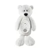 купить Ночной светильник Kaichi KAYPIL025KA313 Bear, игрушка-проектор муз. в Кишинёве 