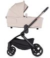 купить Детская коляска Chipolino KKWN02602LA Winner latte в Кишинёве 