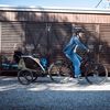 купить Аксессуар для велосипеда THULE Courier pentru transportul cainilor (20301001) в Кишинёве 