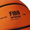 купить Мяч Wilson 4573 Баскетбольный мяч N7 EVO NXT FIBA ​​GAME BALL WTB0965XB в Кишинёве 