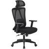 купить Офисное кресло Xenos Bergen Black в Кишинёве 