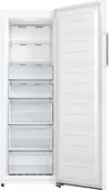 купить Морозильник Gorenje FN617EEW5 в Кишинёве 