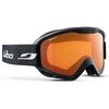купить Защитные очки Julbo Plasma Black Cat 2 (J73322143) в Кишинёве 