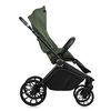 купить Детская коляска Lionelo Carucior 2in1 Mika Plus Grey Olive в Кишинёве 