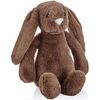 купить Мягкая игрушка BabyJem 730 Jucarie din plus pentru copii The Bestie Bunny Maro inchis, 35 cm в Кишинёве 