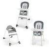 cumpără Scaun de masă Bright Starts 12332 Scaun de masa 3 in 1 Ingenuity Nash în Chișinău 