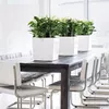 купить Цветочный горшок Lechuza Cube Premium 30, White в Кишинёве 
