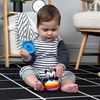 cumpără Iinel dentiție Baby Einstein 16709 Jucarie zornaitoare si dentitie Zen în Chișinău 